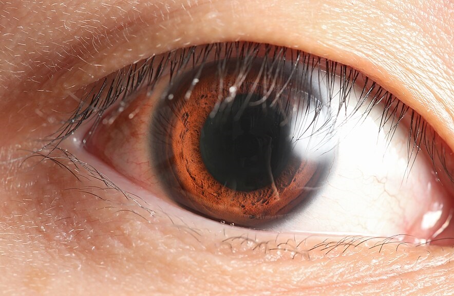 Get Best Brand seeing its customers